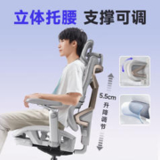 京东PLUS：UE 永艺 攀登者 人体工学椅 浅灰框金背-椅背升降