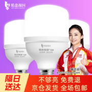 精忠报国 led灯泡 100W 螺口-1只装