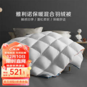 BLISS 百丽丝 羽绒被 鹅绒被芯四季秋冬保暖被子被芯 冬厚被 220cm×240cm