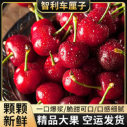 亿鲜夸 车厘子智利进口礼盒装【JD顺丰空运-可送货上门】 XL 5斤