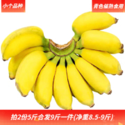 京东百亿补贴:梦芷 小米蕉5斤(净重4.5,2件合发9斤)