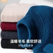 FIRS 杉杉 SHANSHAN 男士高领纯羊毛衫 SS36309Q