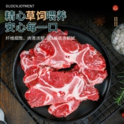 京东百亿补贴：肉膳房 5斤原切牛脊骨带肉