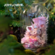 JoyFlower永生花玻璃罩礼盒一鹿有你圣诞节平安夜生日礼物纪念日送女友老婆 一鹿有你中号【粉色】