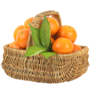 PLUS会员：京觅 京鲜生 蜜桔 桔子 优级果2.5kg 单果约100-130g 生鲜水果*3件