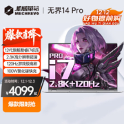 机械革命无界14 Pro 2023旗舰款标压+高分高刷高色域轻薄本
