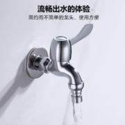 莱尔诗丹（Larsd）LX219洗衣机龙头铜主体加长单冷水龙头 4分口全自动快开水嘴
