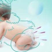 88VIP会员：Pampers 帮宝适 清新帮纸尿裤M/L/XL/XXL宝宝超薄透气尿不湿非拉拉裤 1件装