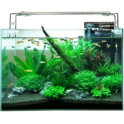 SEA STAR 超白鱼缸超白玻璃水族箱 小型鱼缸桌面客厅斗鱼乌龟缸草缸金鱼缸 400*230*250过滤套装