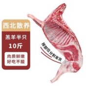 环有 西北黄土地散养羊肉10斤半只羊羔肉新鲜羊腿羊排羊蝎子烤羊肉