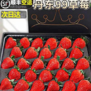少羽 现摘现发 正宗丹东99红颜草莓 2斤装 特大果30-40G 顺丰空运