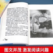 限移动端：中国儿童文学大奖作家小说 四辑5册（雪豹+独角牛+糊涂猪+书香+魔法书）