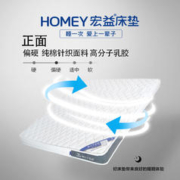 宏益 床垫12cm/15cm ZY-1偏硬护脊/ZY-2软硬适中 高分子乳胶3D椰棕