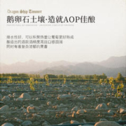 菲特瓦 罗纳河谷AOC 双支装