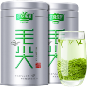 乐品乐茶特级毛尖茶叶绿茶 2023新茶明前春茶嫩芽茶叶自己喝礼盒装250g