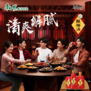 康师傅饮料 酸梅汤饮料330ml*12小瓶装饮品火锅烧烤伴侣家庭聚餐 整箱装 330ml*12瓶