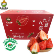 鑫久盈 丹东99红颜奶油草莓 1400g 单果25-35g