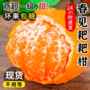 誉福园 特级四川春见耙耙柑 特大果（单果80-85mm）净重5斤