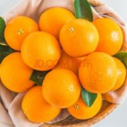 土八鲜 江西橙子赣南脐橙赣州脐橙手剥橙新鲜水果礼盒 精品橙10斤装【单果160-230g】
