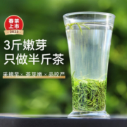 乐品乐茶2023特级毛尖茶叶绿茶新茶明前春茶嫩芽茶叶口粮茶礼品礼盒装 【绿罐优选】毛尖茶 100g * 2罐