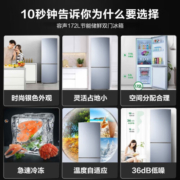 容声172升冰箱迷你双门两门双开门家用电冰箱宿舍小户型租房BCD-172D11D