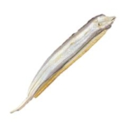 大鳗鱼干整条 3斤