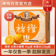 CHU’S AGRICULTURE 褚氏农业 褚橙 单果果重140-175g 5kg 礼盒装