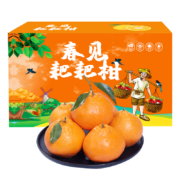 鲜菓篮 四川春见耙耙柑时令整箱柑橘 5斤(70-80MM)