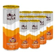 北冰洋 百香果苏打水 330ml*12听