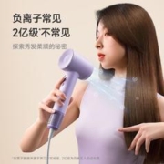 laifen 徕芬 SE高速吹风机