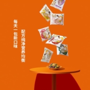 窝小芽 一周营养小水饺子馄饨（共3袋405g）儿童早餐食品无添加色素