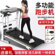 宝尔斯（BAOERSI） 跑步机家用多功能静音可折叠跑步机小型走步机简易减震健身