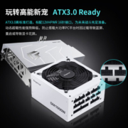 鑫谷（Segotep）GM1000W ATX3.0冰山版金牌全模组电源（原生PCIE5.0支持4090/全电压/台式白色电脑主机电源）