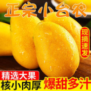 花音谷 海南小台芒 大果9斤单果100G+