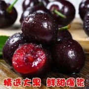 甜艾妮 智利车厘子3斤 大果 JJ 28-30mm