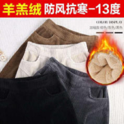 燠阳 休闲裤子秋冬新款女加厚灯芯绒女萝卜裤宽松韩版哈伦裤老爹裤 灯芯绒-黑色