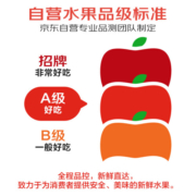 京鲜生 丹东99红颜草莓1斤 新鲜水果 源头直发包邮
