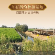 崇明岛2023年新米崇明岛大米10kg（20斤）十月江南大米糯软香米含胚芽米