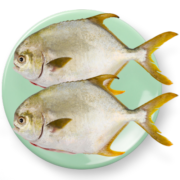 翔泰 冷冻海南二去金鲳鱼700g2条 ASC 生鲜鱼类 火锅食材 海鲜水产