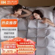 8H Y4可水洗95%白鹅绒双人夫妻羽绒被芯 秋冬被800g 220*240cm 灰色