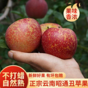 正宗云南昭通 冰糖心丑苹果 1斤中果