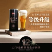 轩博 黄金版 原浆白 精酿啤酒 1.1L*4大桶整箱装 德系工艺 节日送礼