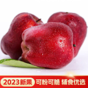 江博尔甘肃天水花牛粉面苹果 净重2.5-3斤装【单果120g+】