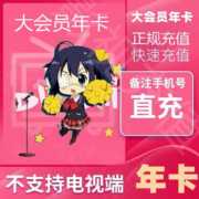 bilibili 哔哩哔哩 大会员年卡 12个月 1年兑换码