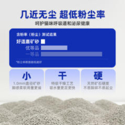 HEALTH GUARD 好适嘉 猫砂4.6kg天然钠基矿砂超强除臭膨润土猫咪低粉尘