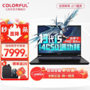 COLORFUL 七彩虹 将星X16 七彩虹将星X15 i9-13900HX/RTX4060 165Hz高色域独显2K屏笔记本