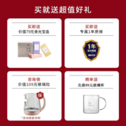 北鼎（Buydeem）多功能家用养生壶 1500ml智能办公室静音煮茶壶 一键温泡 5大茶汤功能 茶水分离 基础款 K108 鹅仔黄