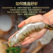 京东百亿补贴：鲜味时刻虾 新鲜盐田大虾盐冻4斤大号40-50规格13-16厘米