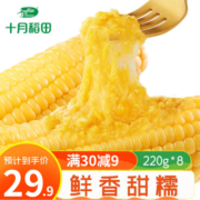 十月稻田 黄糯玉米 甜糯玉米 轻食 鲜食玉米220g*8根【推荐】