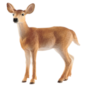 思乐（Schleich S）仿真动物模型小动物玩具 大象长颈鹿斑马玩具儿童玩具男孩女孩 白尾母鹿玩具14819